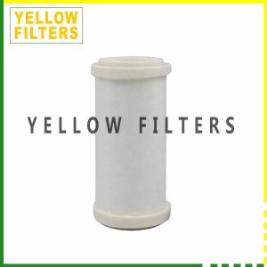 NATURAL GAS FILTER 53444.4411038 CLS110MYMZ
